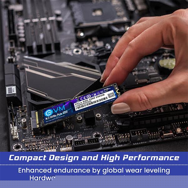 EVM 256GB M.2 NVMe PCIe High Performance Solid State Drive